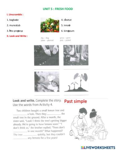 EOW4 - Unit 5: fresh food