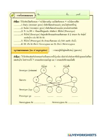 แบบทดสอบเมนเดล1