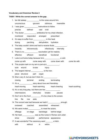 Vocabulary and Grammar Review 2