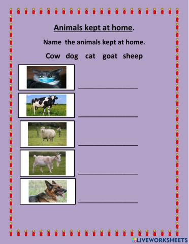 Animals kept at home