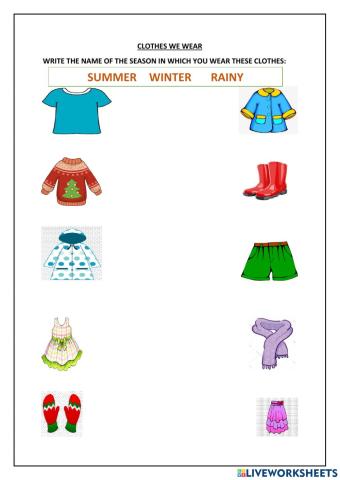 Clothes according to seasons