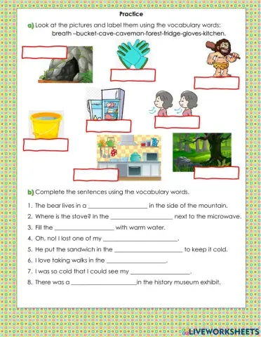 Reading -Frozen in time-Vocabulary