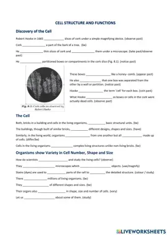 Cell structure and  functions