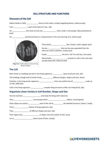 Cell structure and  functions