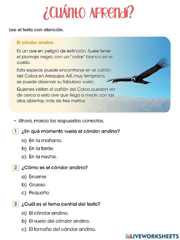 Comunicación pagina 141