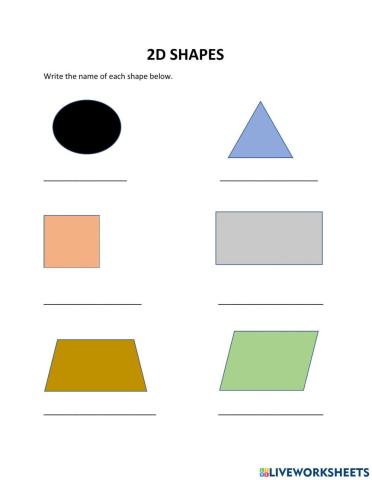 2D and 3D Shape Properties