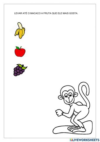Levar até o macaco a fruta que ele mais gosta.
