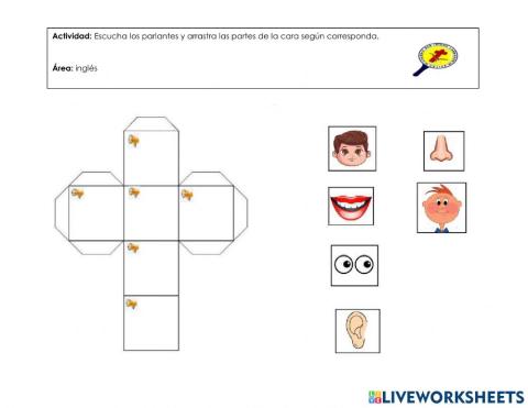 Partes de la cara en inglés