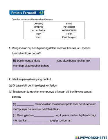 Praktis Formatif 6.5