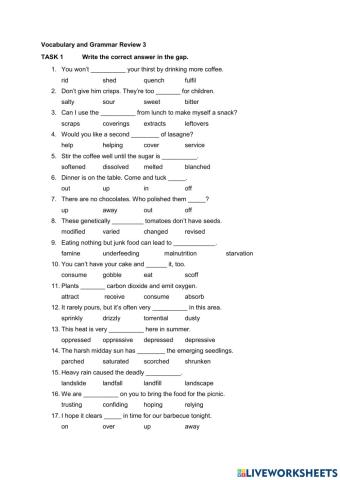 Vocabulary and Grammar Review 3