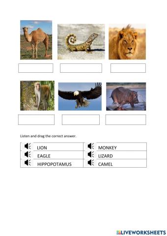 Science (pre-school)