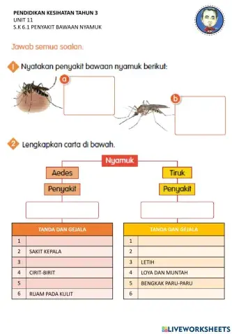 Penyakit bawaan nyamuk