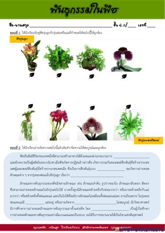 พันธุกรรมของพืช