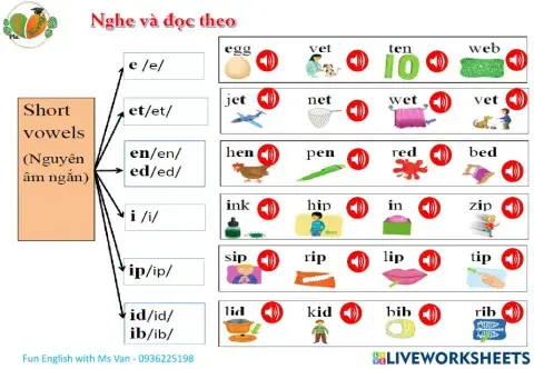 Phonics short vowels -e-