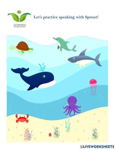 Sea Animals Pronunciation