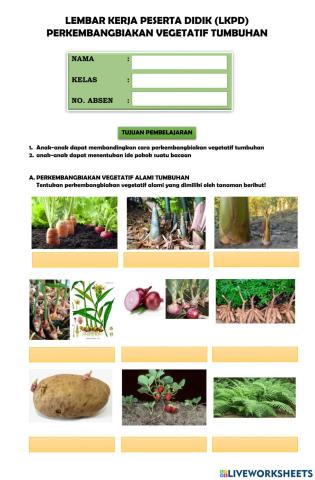Perkembangbiakan vegetatif tumbuhan