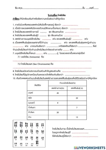 โครโมโซม