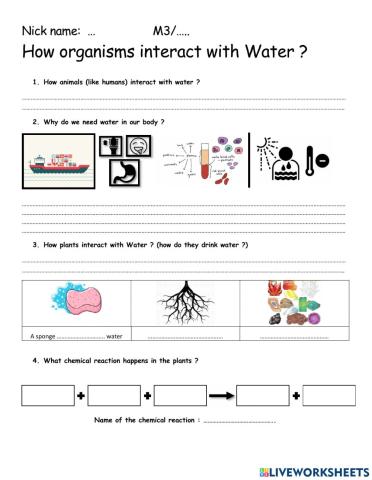 Interaction with water