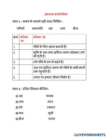 पोधों के भाग