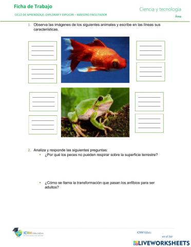 Los peces y anfibios