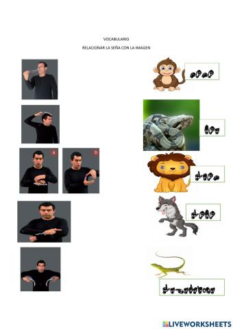 Relacionar imagen seña