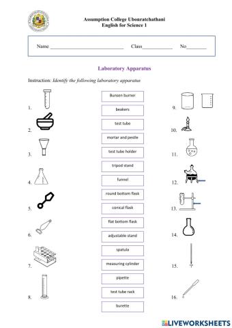 Laboratory Apparatus worksheet