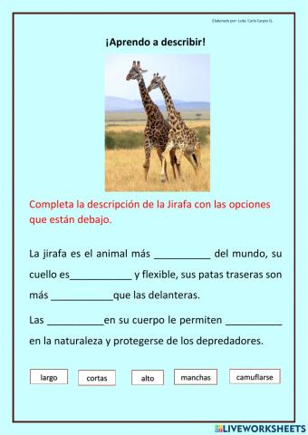 ¡Aprendo a describir!