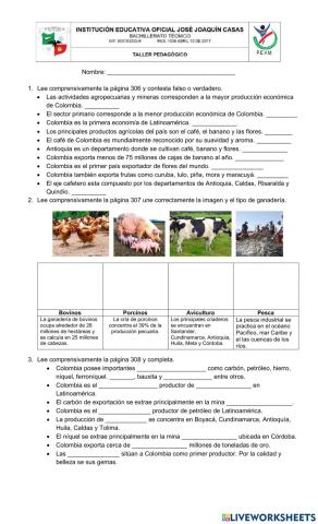 El sector primario-Colombia