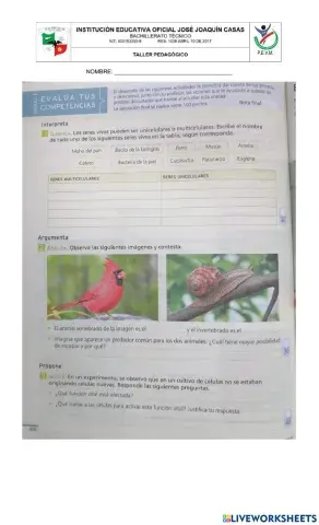 EVALUA TUS COMPETENCIAS- Pág 406