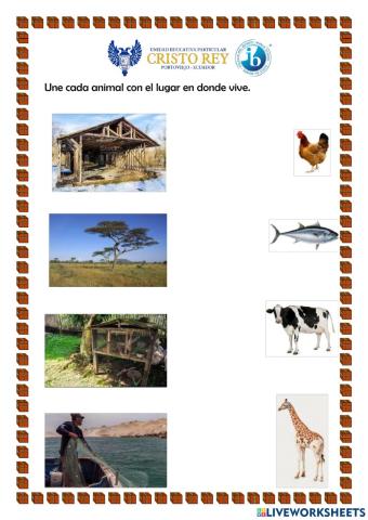 Hábitat de los animales