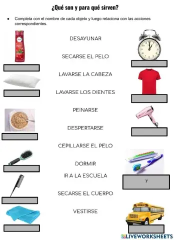 Los objetos y la rutina diaria