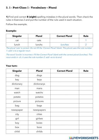3.1 - Vocabulary - Plural