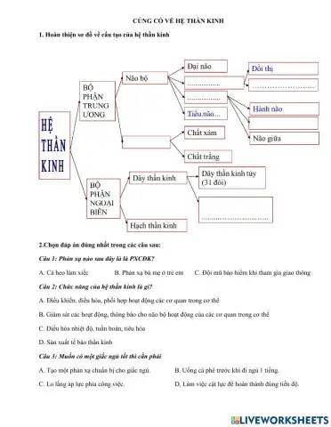 Sinh học 8 củng cố về hệ thần kinh