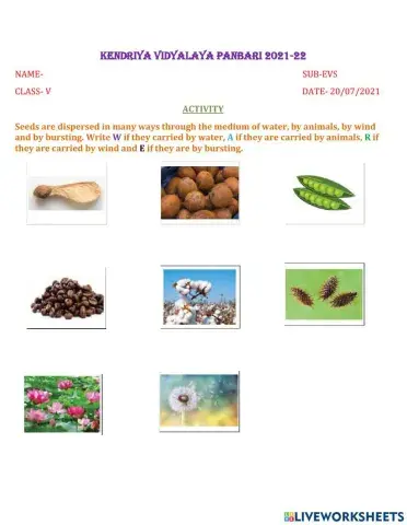 Seeds dispersal exercise