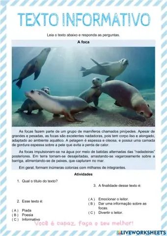 Texto informativo - A foca