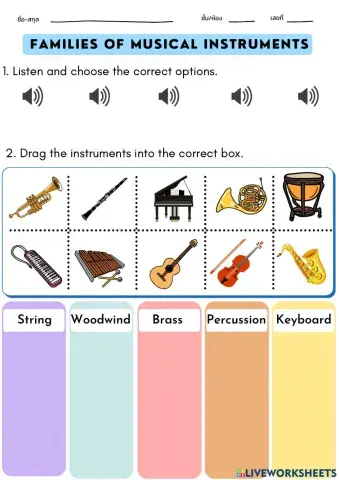 ประเภทเครื่องดนตรีสากล (Families of musical instruments)