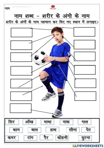 शरीर के अंगों के नाम