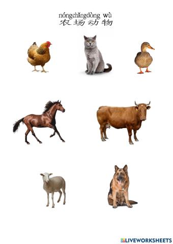 农场动物