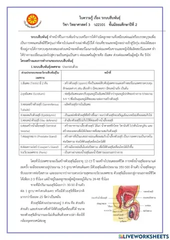 ระบบสืบพันธ์