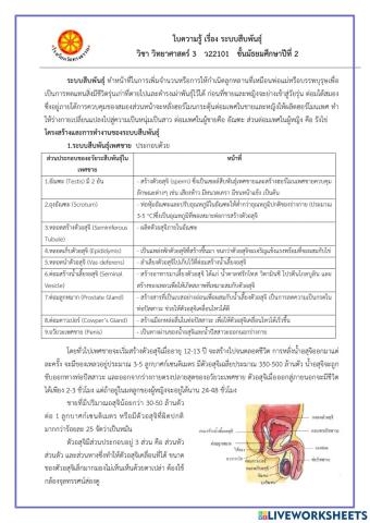 ระบบสืบพันธ์