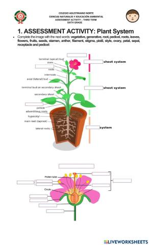 Plant system