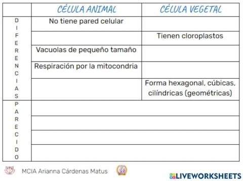 Cuadro comparativo célula