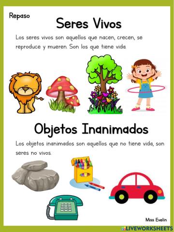 Seres Vivos y Objetos Inanimados