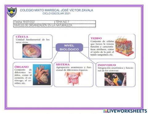 Niveles de organización de los seres vivos