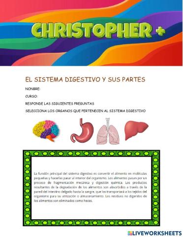 El sistema digestivo y sus partes