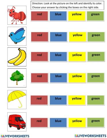 Colours - red, yellow, blue, green