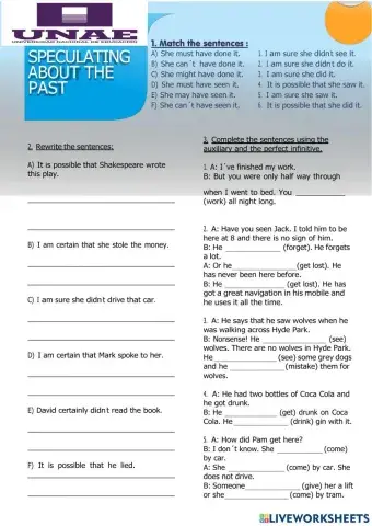 Modals for speculating about the past