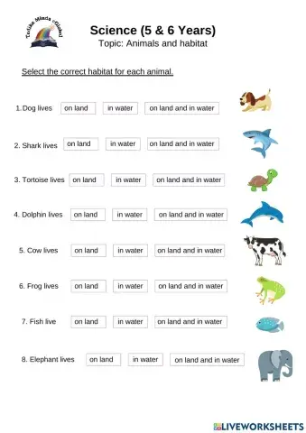 5 & 6 Years: Science (Animals and Habitats)