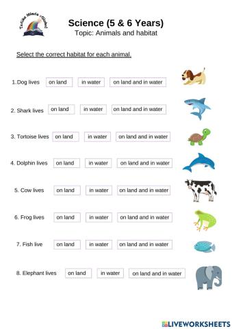 5 & 6 Years: Science (Animals and Habitats)