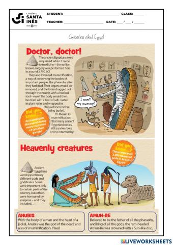 Curiosities about Egypt